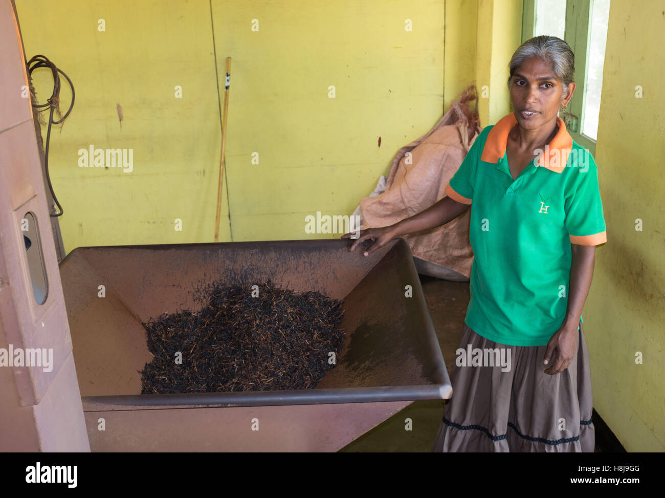 Tea factory sri lanka hires stock photography and images Alamy
