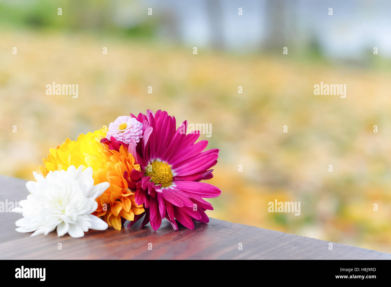 Flowers bouquet hi-res stock photography and images - Alamy