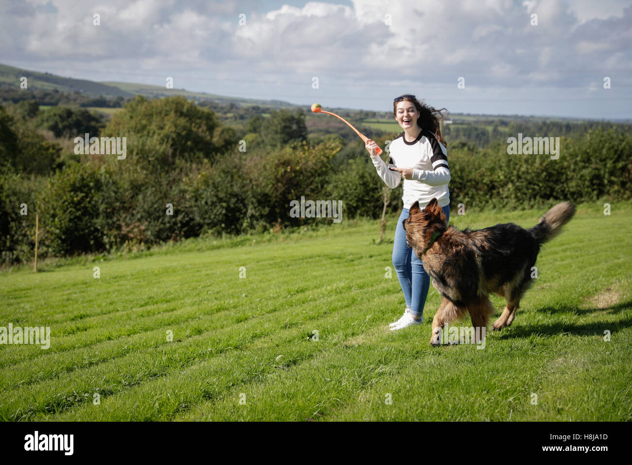 Young woman throws a ball for her pet dog a German Shepherd Stock Photo