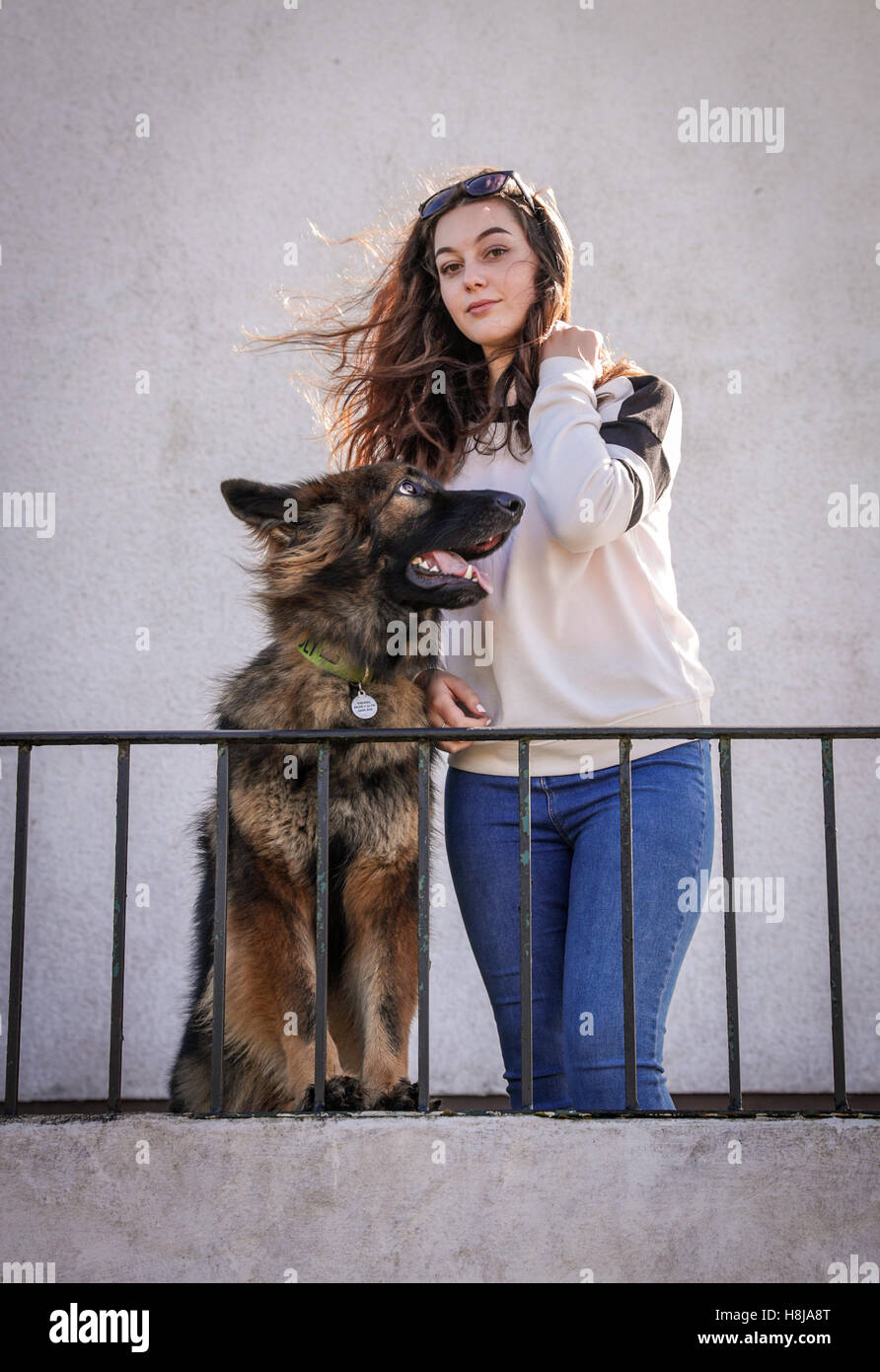 Dog looking at girl who is looking at the camera. The big dog is wearing a collar and id tag. Stock Photo