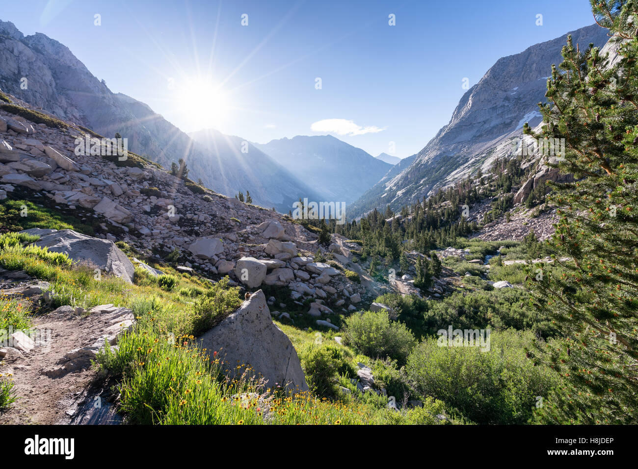 Morning on John Muir Trail, Kings Canyon National Park, Sierra Nevada mountains, California, United States of America Stock Photo