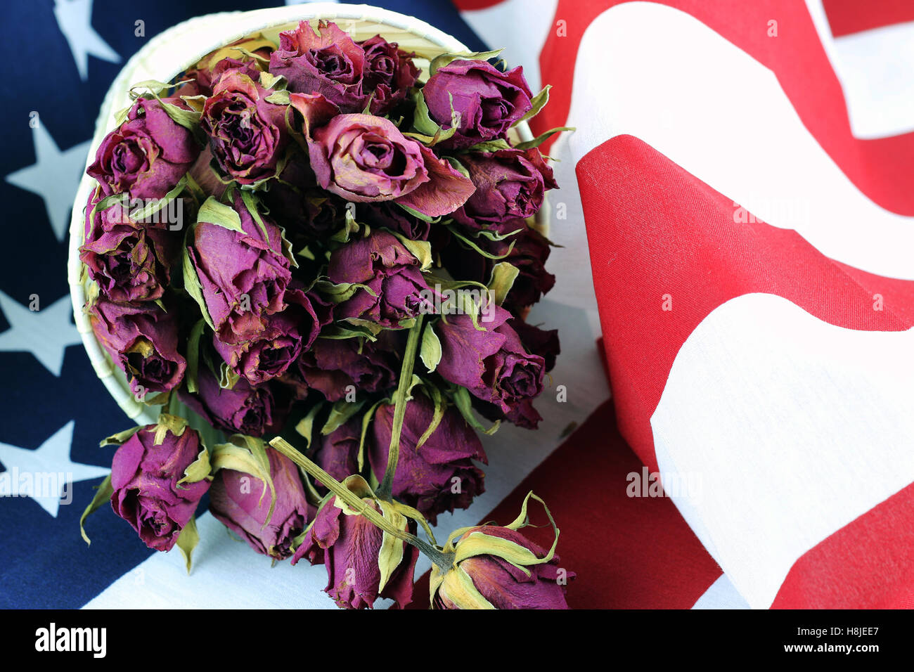 US flag rose flower Stock Photo Alamy