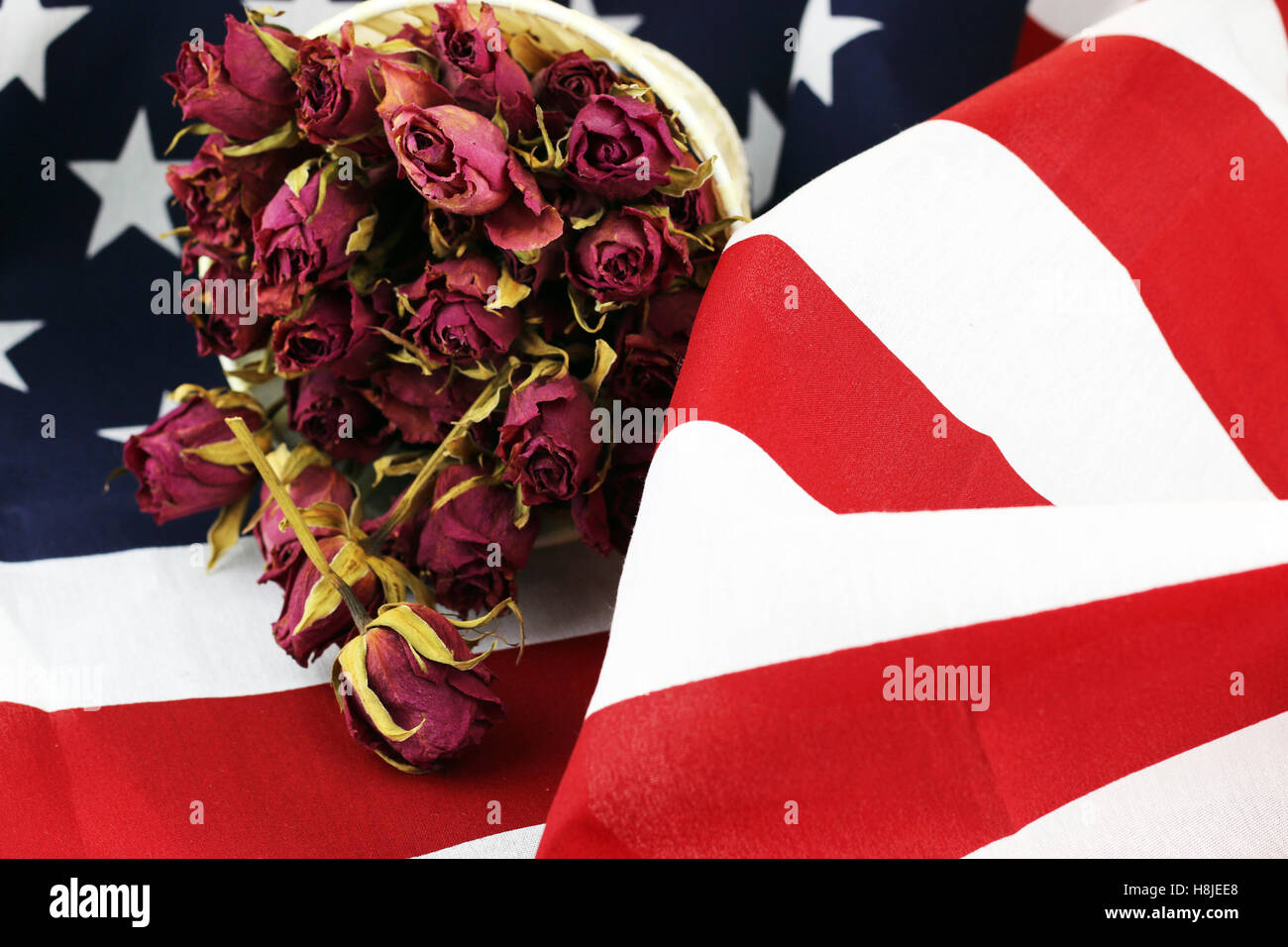 US flag rose flower Stock Photo Alamy