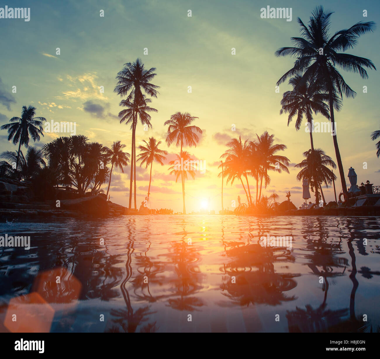 Amazing sunset on sea beach with palm tree Stock Photo - Alamy