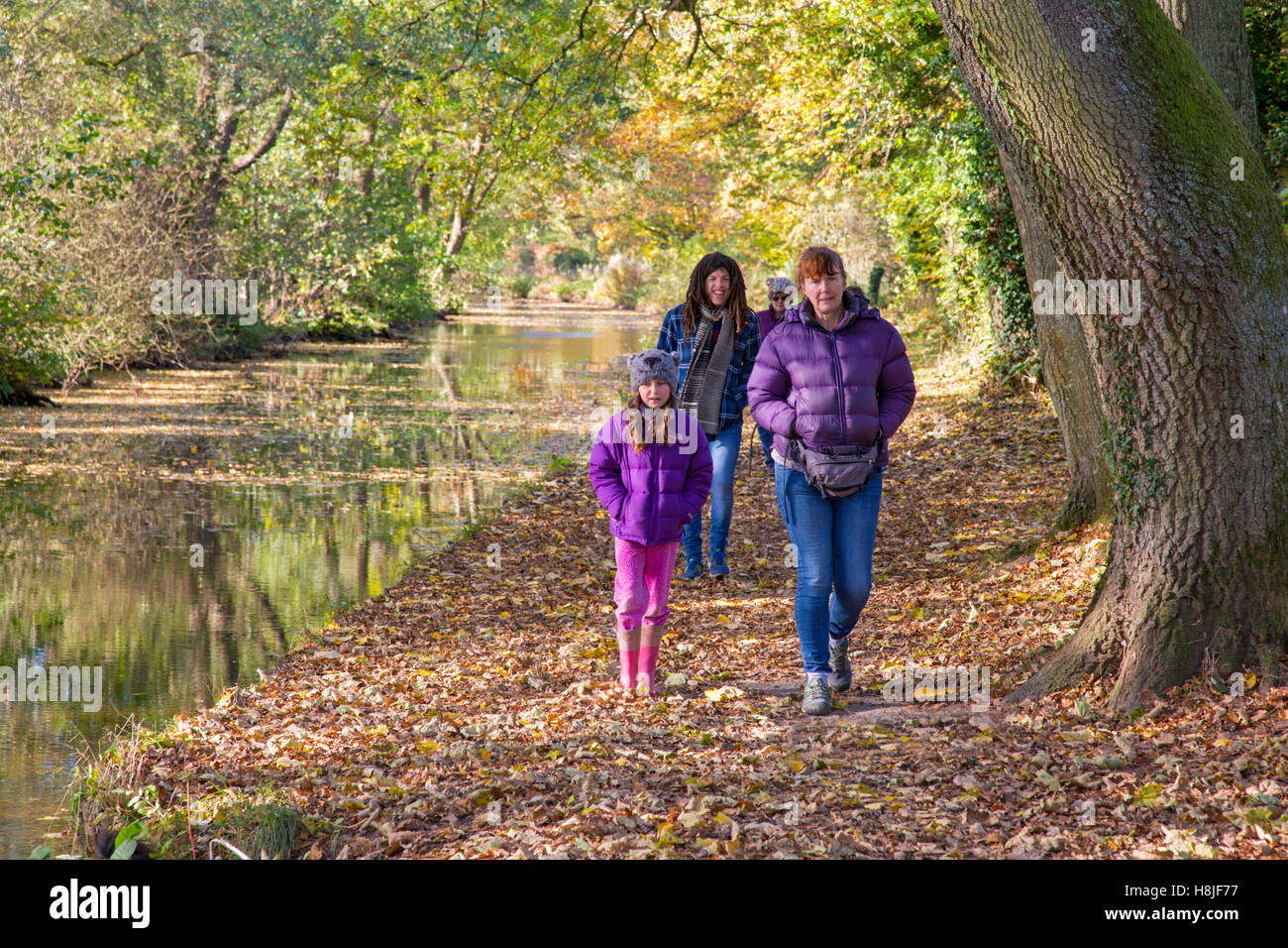 Autumn walk on the Monmouthshire & Brecon Canal, Wales, UK Stock Photo