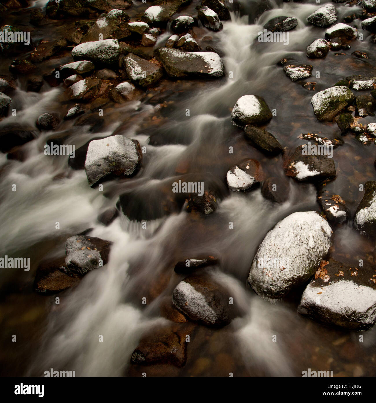 River Plym on Dartmoor National Park during winter with snow covered boulders and icy water. Stock Photo
