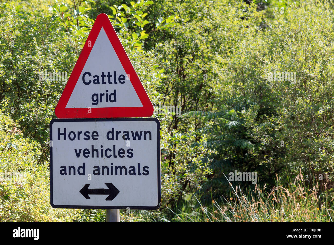 Road sign warning of  Cattle grid, Horse drawn vehicles and animals direction Stock Photo