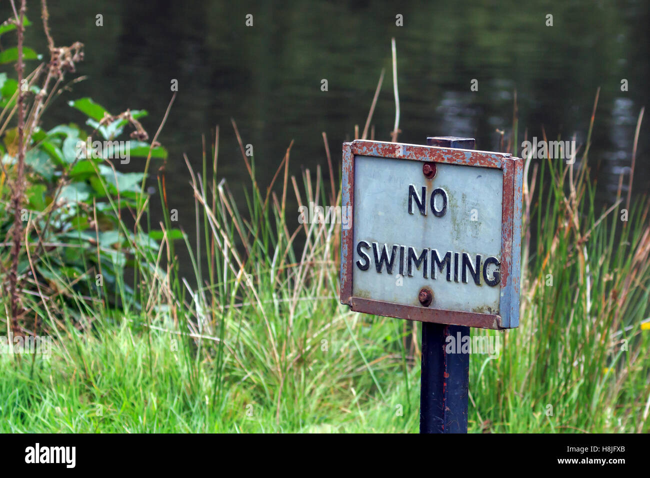 No Swimming Sign with small lake in the background Stock Photo