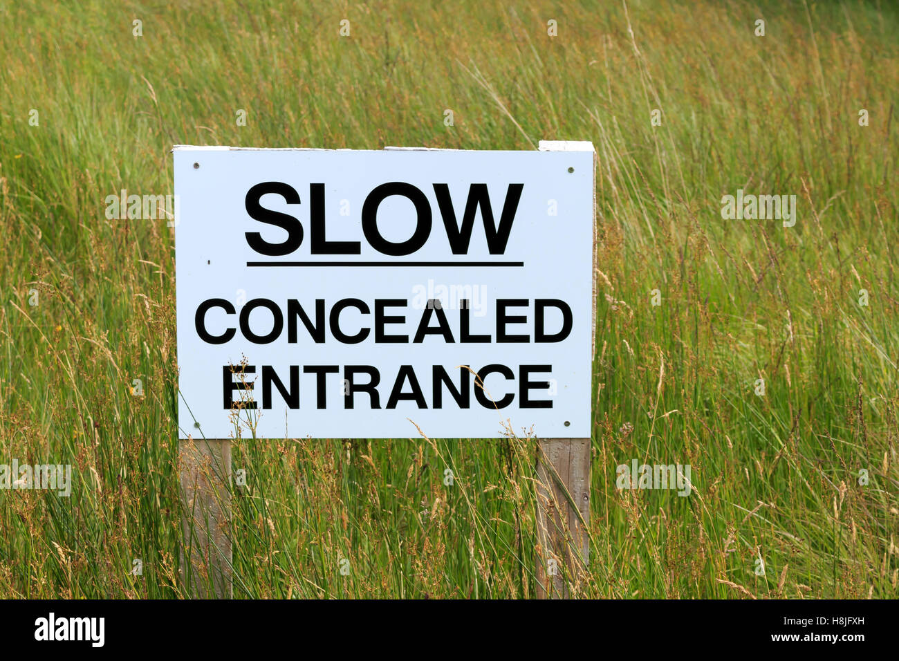 Safety First Label Concealed Entrance Sign On White Background Stock - View #10