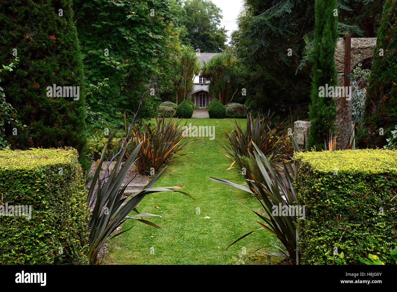 Box hedge topiary parterre clipped neat hedging garden design formal Corke Lodge Bray Wicklow Ireland RM Floral Stock Photo