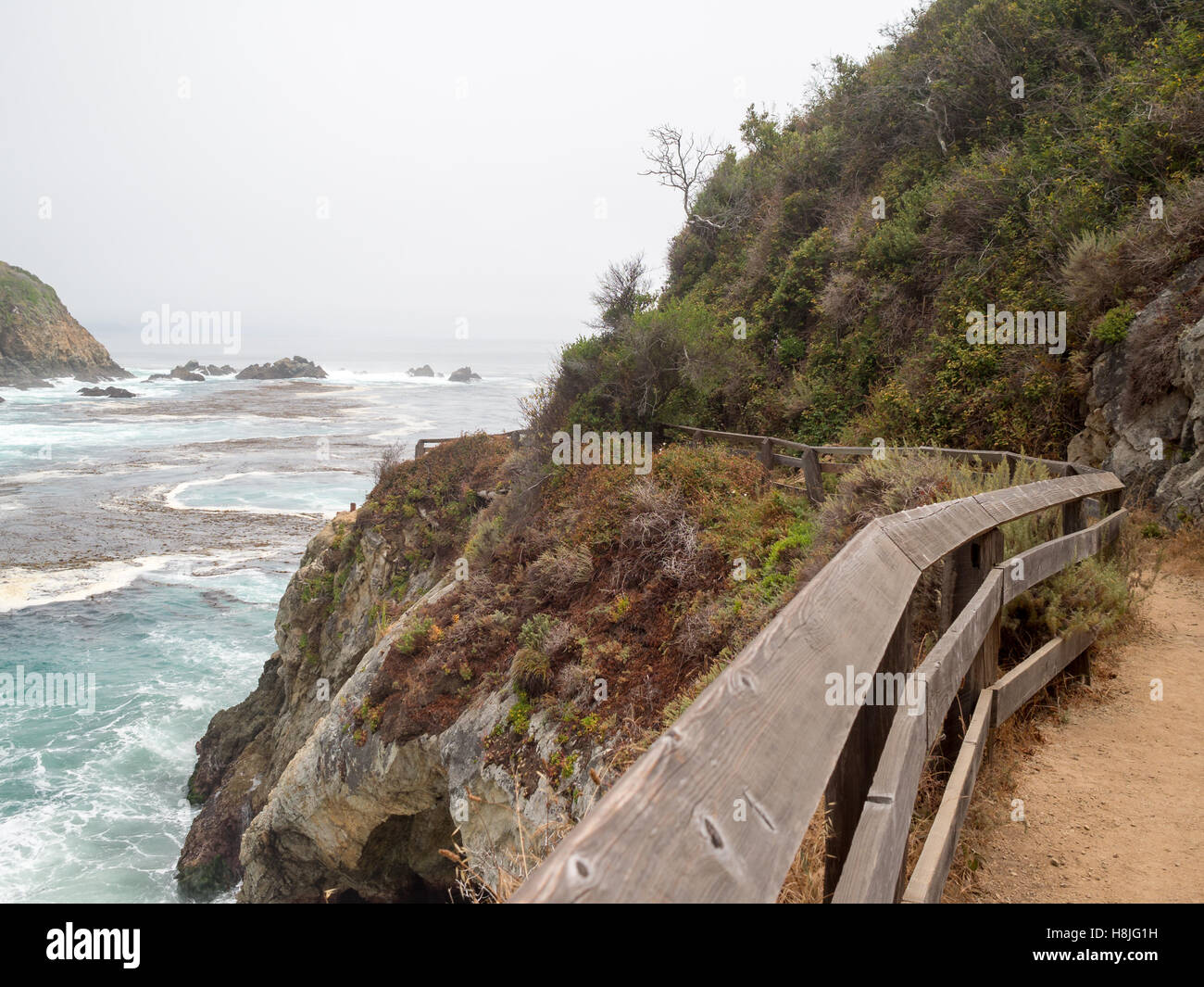 Partington Cove trail aside Big Sur coastline Stock Photo - Alamy