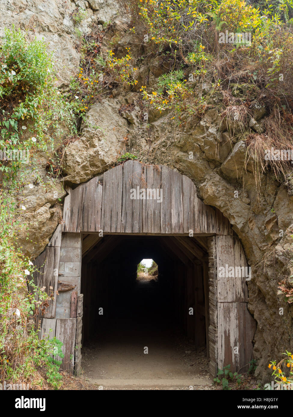 Partington Cove trail tunnel entrance Stock Photo
