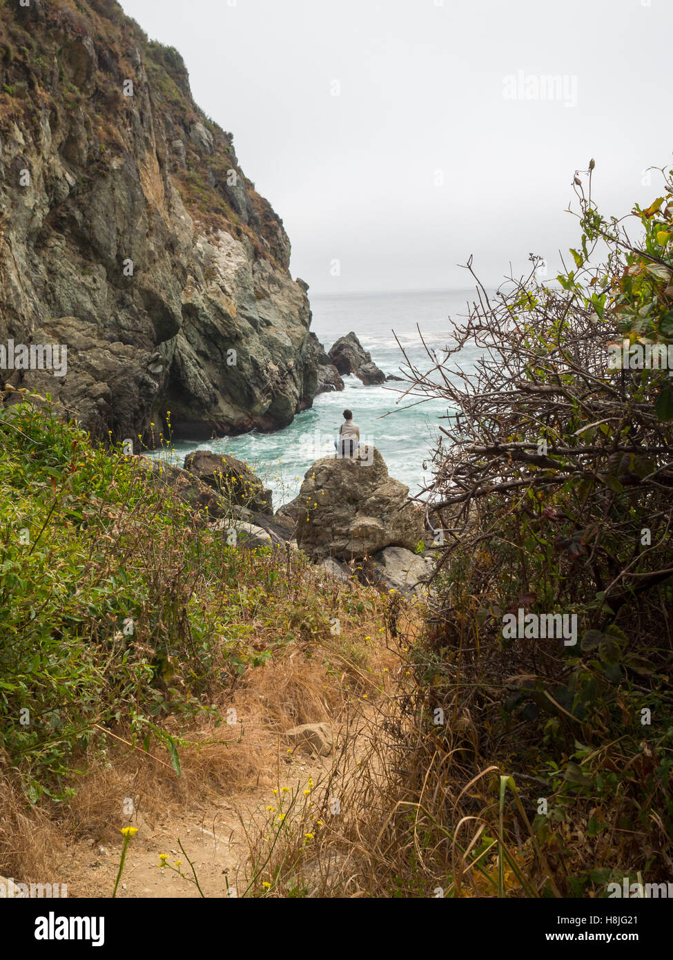 Partington cove trail big sur hires stock photography and images Alamy