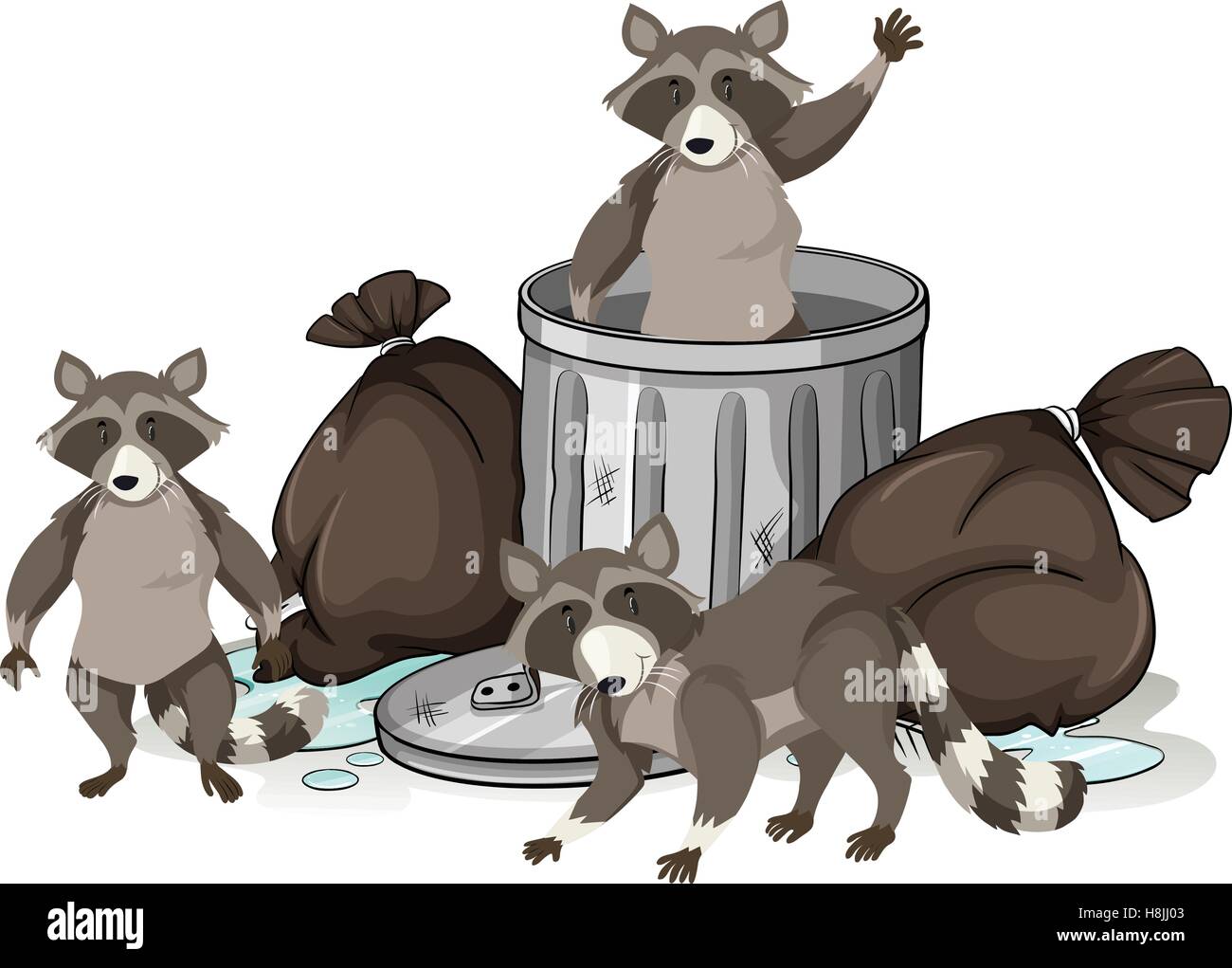 Raccoon searching trash for food illustration Stock Vector