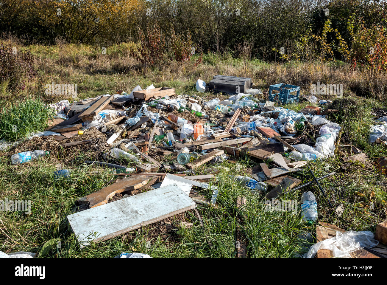 garbage heap near the forest Stock Photo