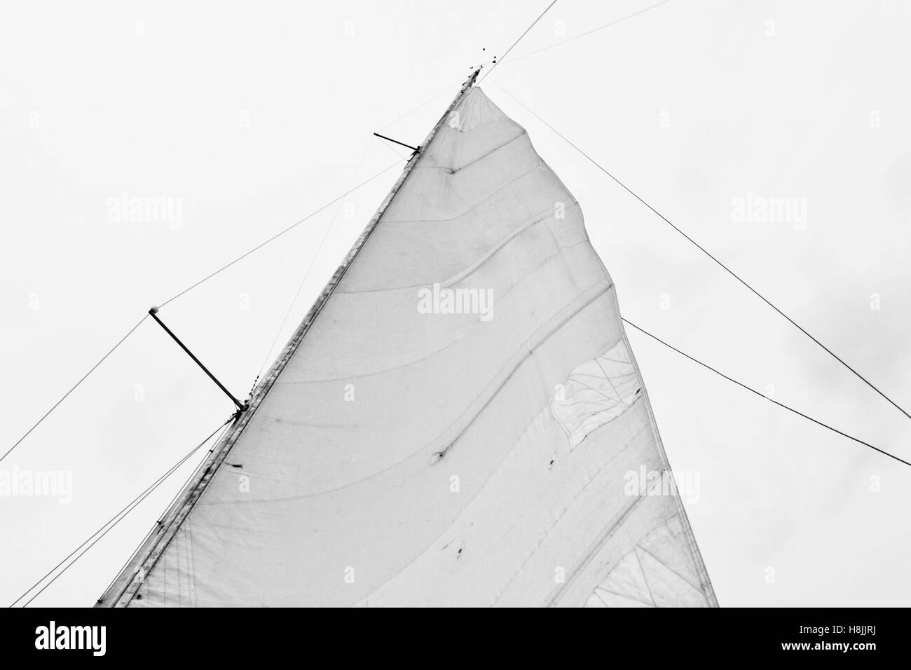 Sail of a sailing boat against sky Stock Photo