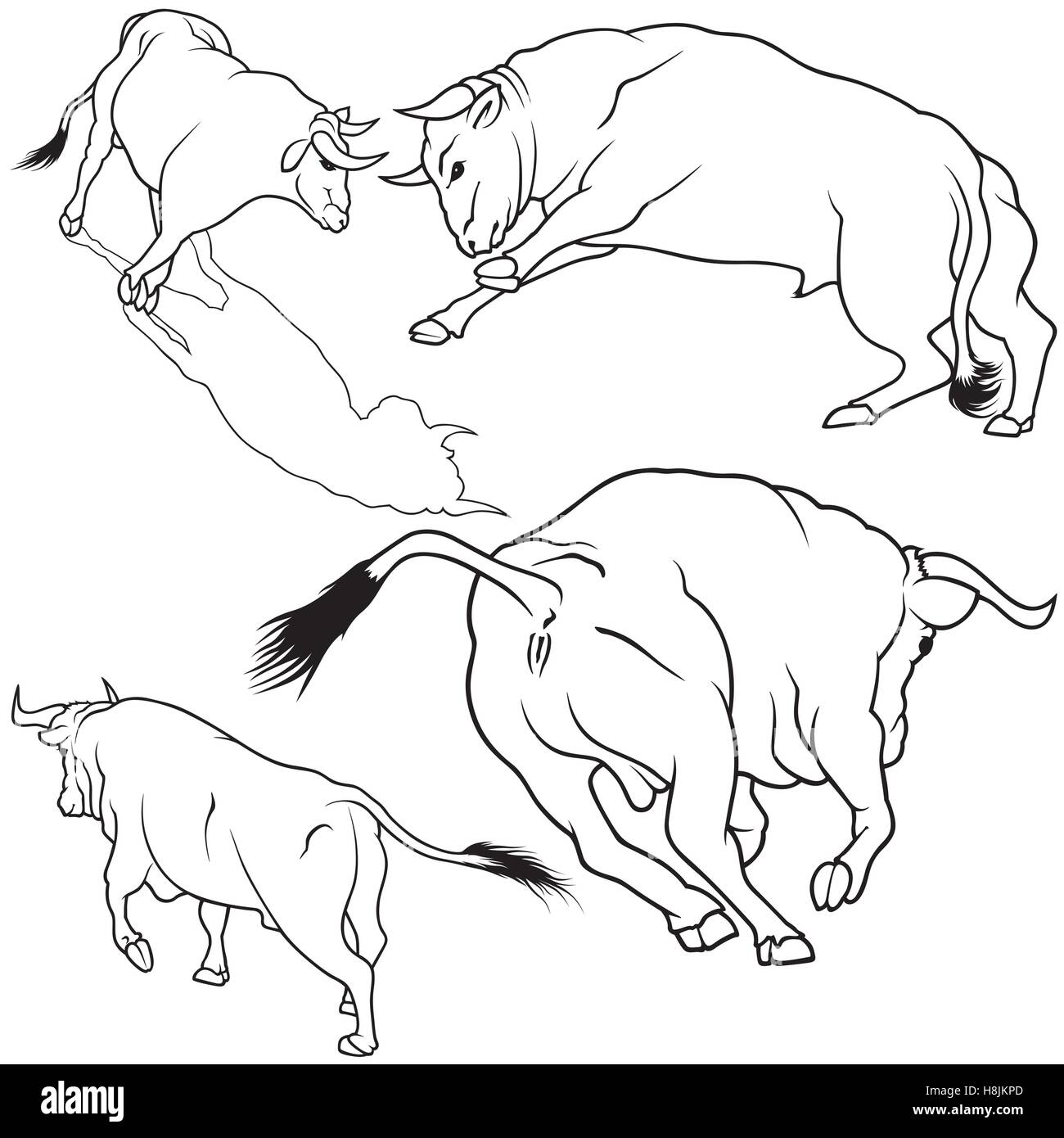 Bull Collection Stock Vector