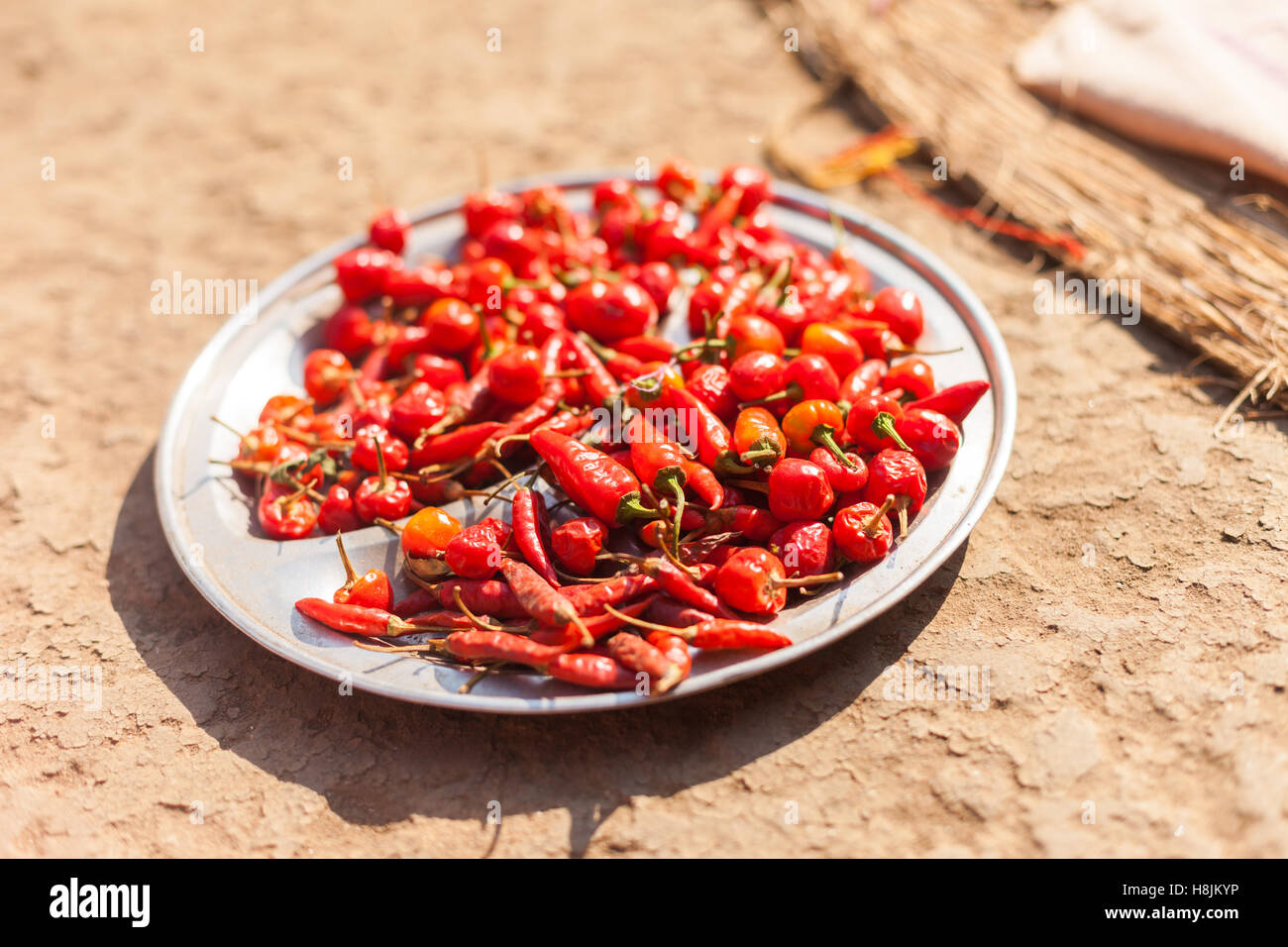 Nepali chili peppers drying on a stainless steel plate in the sun Stock Photo