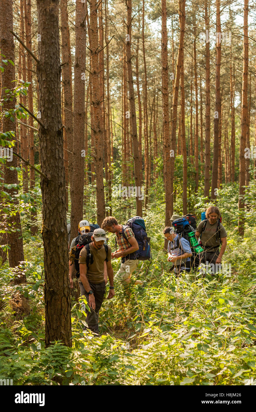 Group hikers in forest hi-res stock photography and images - Alamy