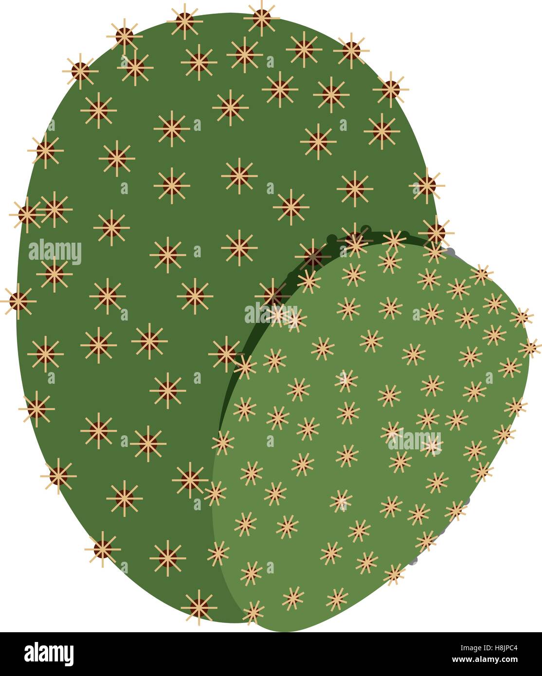 Cactus natural plant Stock Vector Image & Art - Alamy
