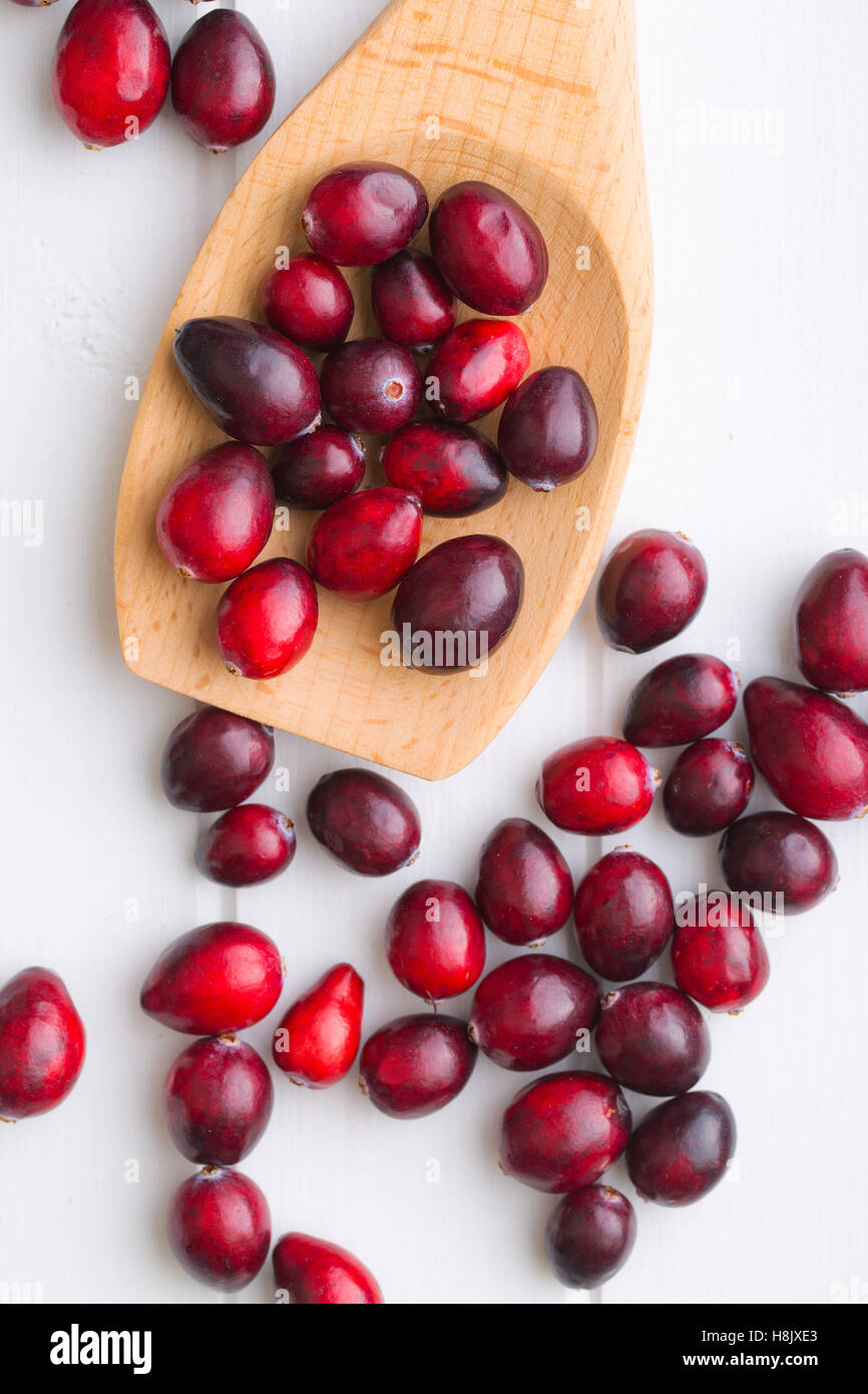 The tasty american cranberries on wooden spoon. Top view. Stock Photo