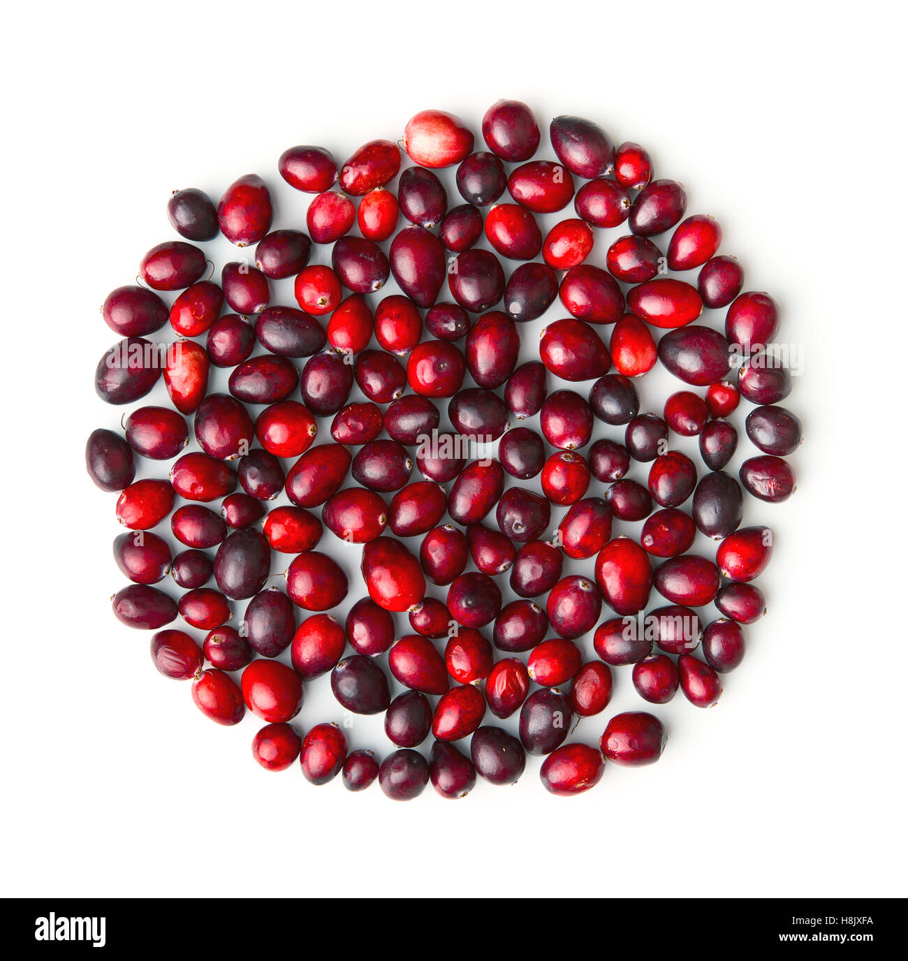 The tasty american cranberries isolated on white background. Stock Photo