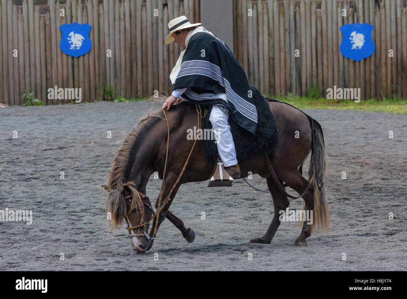 Baroque Horse Festival 2016 Stock Photo - Alamy