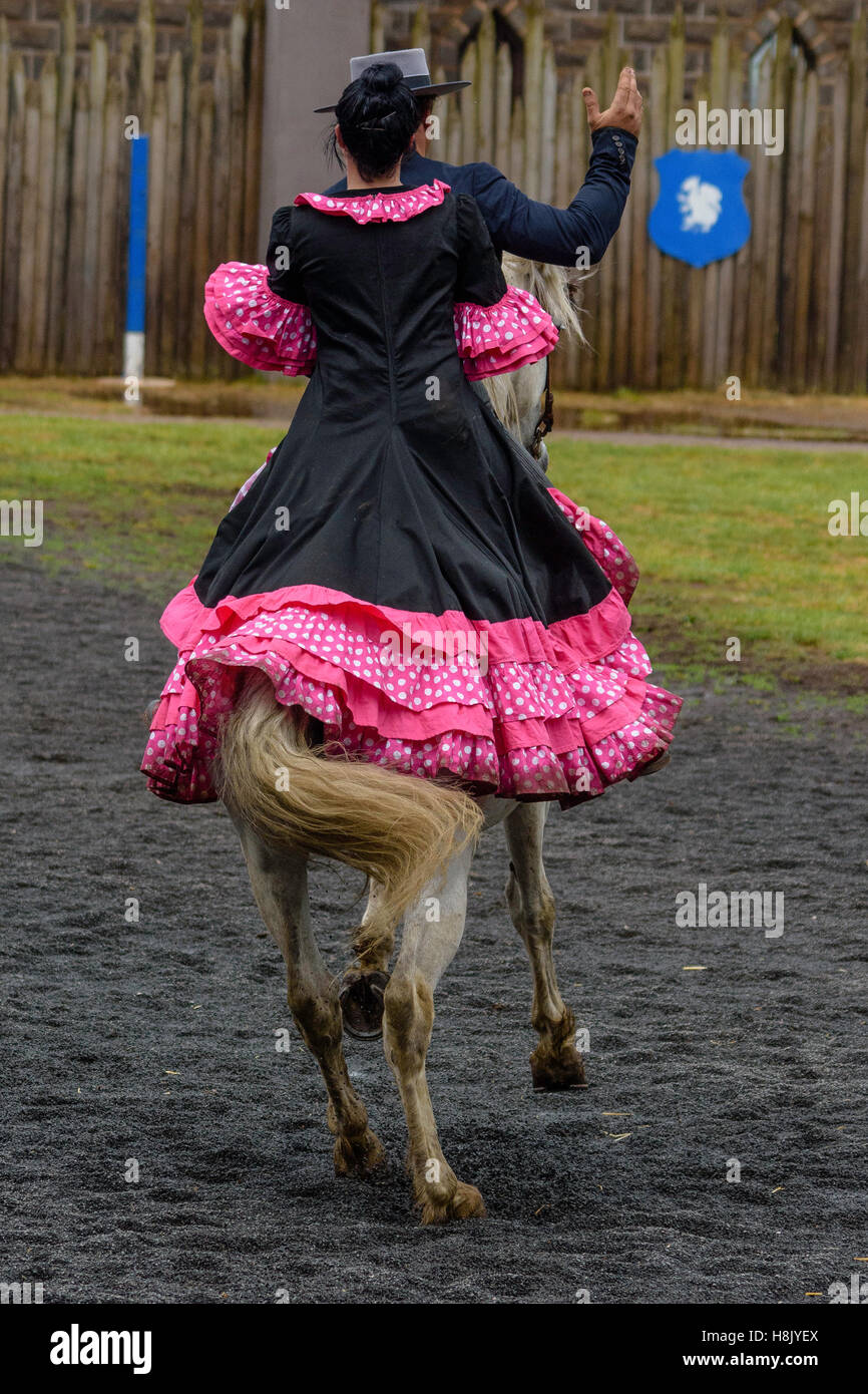 Baroque horse hires stock photography and images Alamy