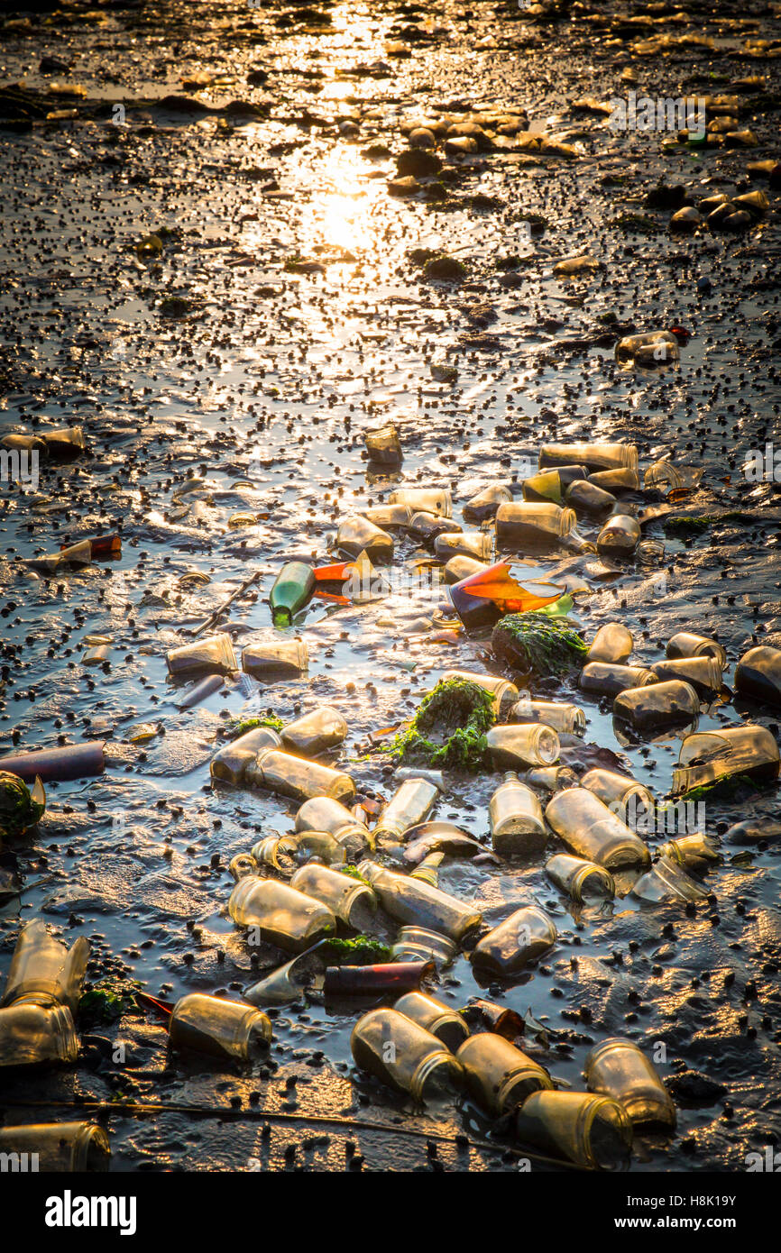 Glass bottles covering beach in Brooklyn New York City Dead Horse Bay landfill Stock Photo Alamy