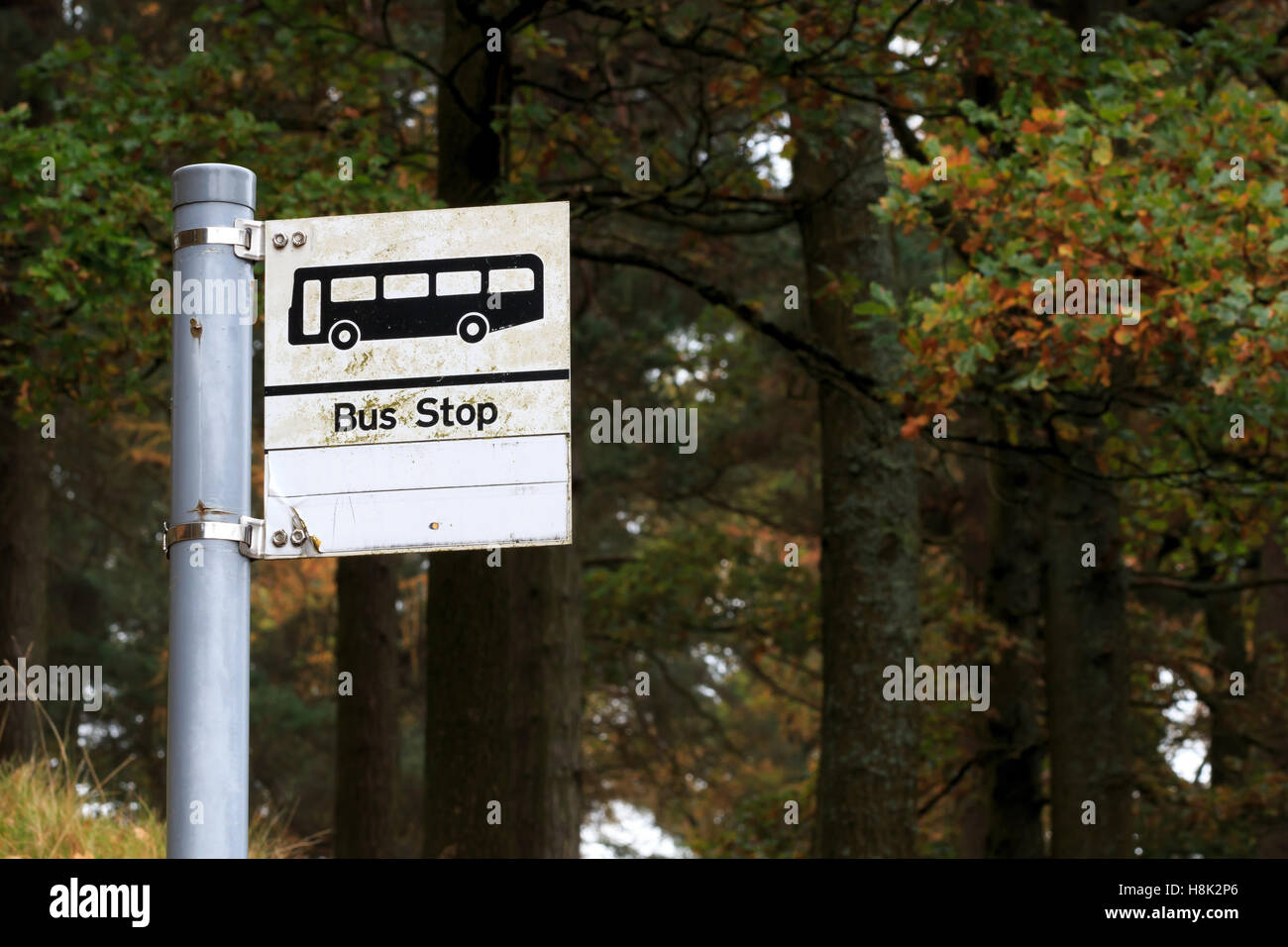 Bus stop sign uk hi-res stock photography and images - Alamy