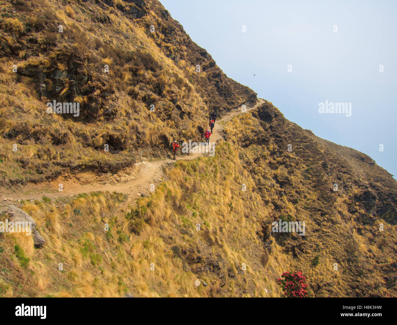 Trekkers walking along a mountain ridge of Kuari Pass trekking trail Stock Photo