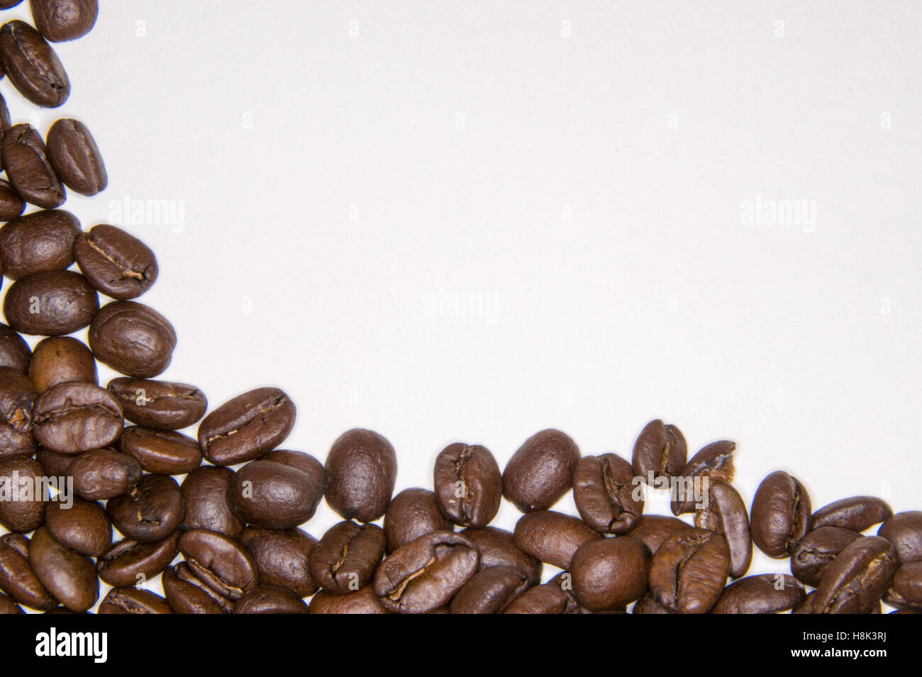 Coffee beans on white background for cover - Stock Image