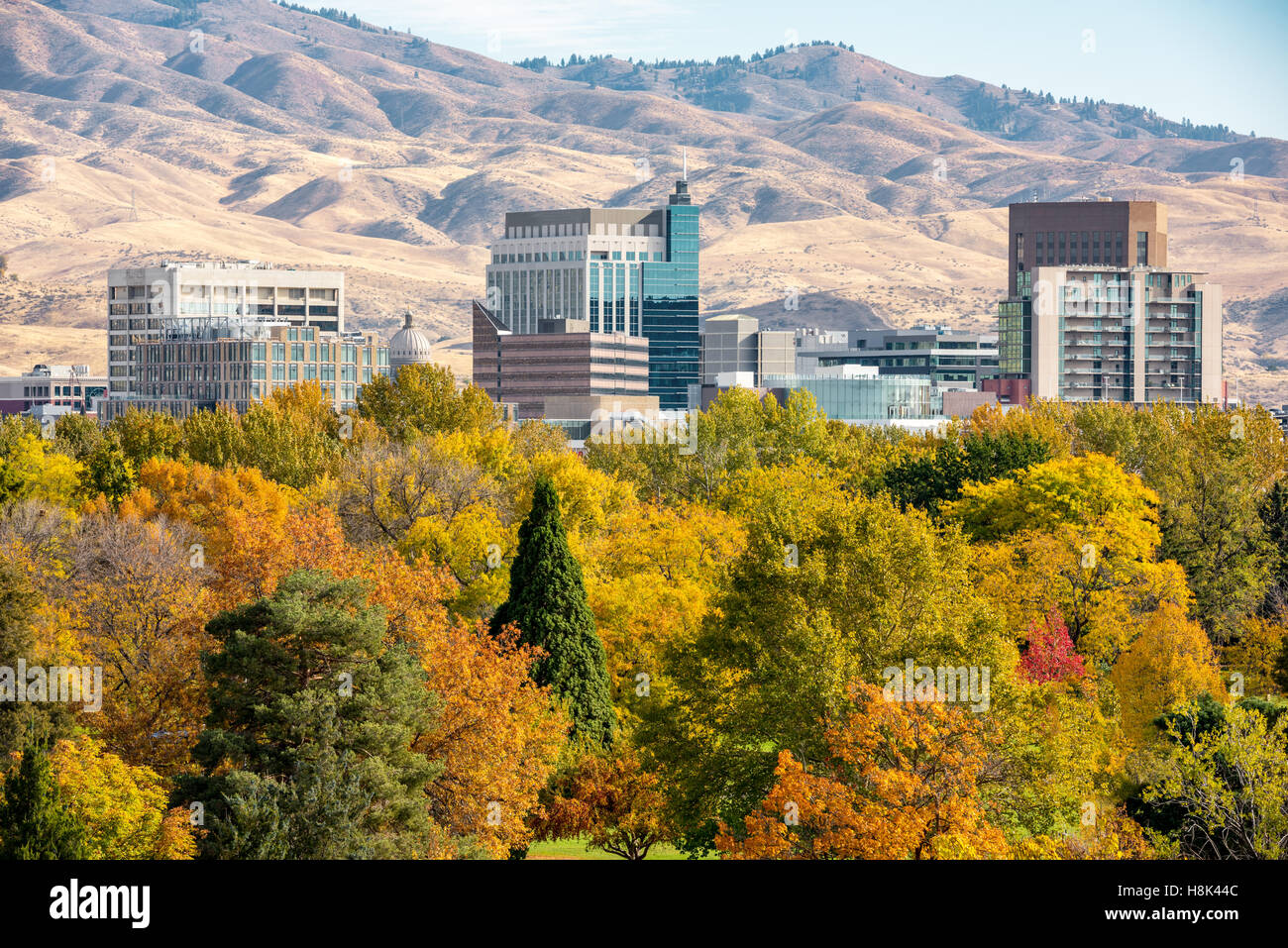 Close up skyline of Boise Idaho with fall trees Stock Photo