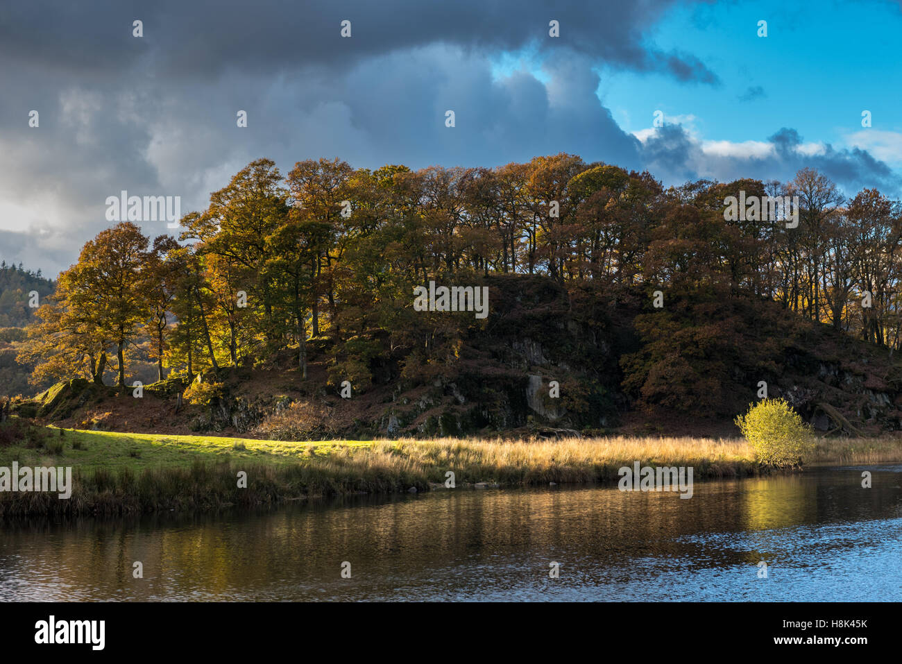 Low sunlight and Autumn colours along the River Brathay Stock Photo