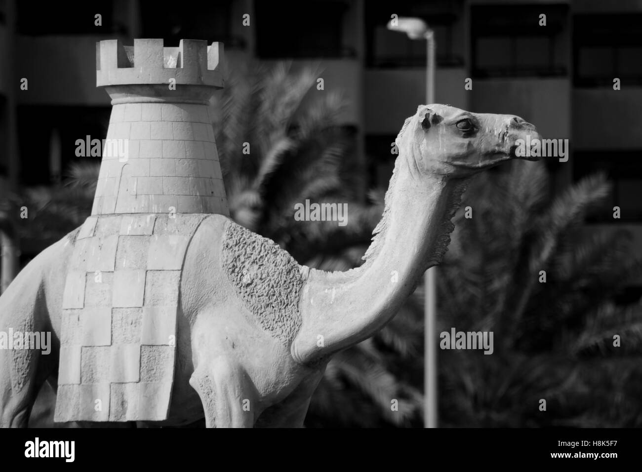 Camel Statue in Dubai Stock Photo