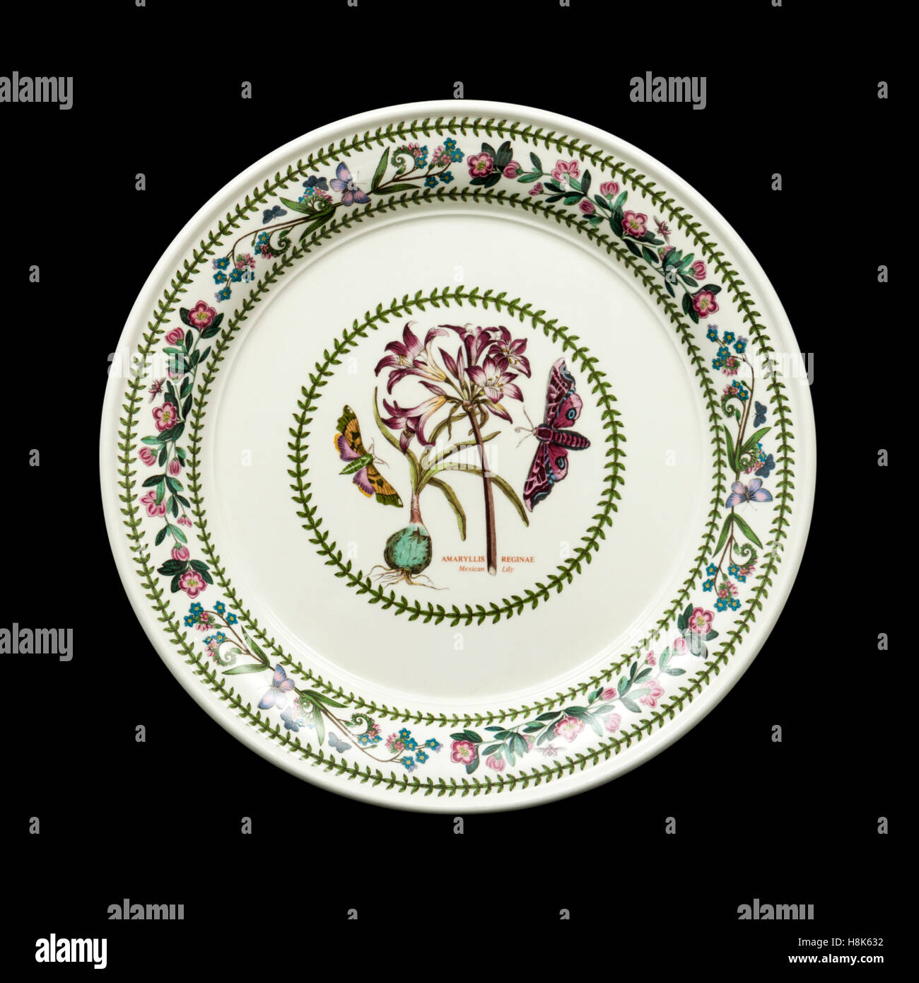 Portmeirion 'Mexican Lily' (Amarylis Reginae) plate from their Variations series designed by Susan Williams-Ellis Stock Photo