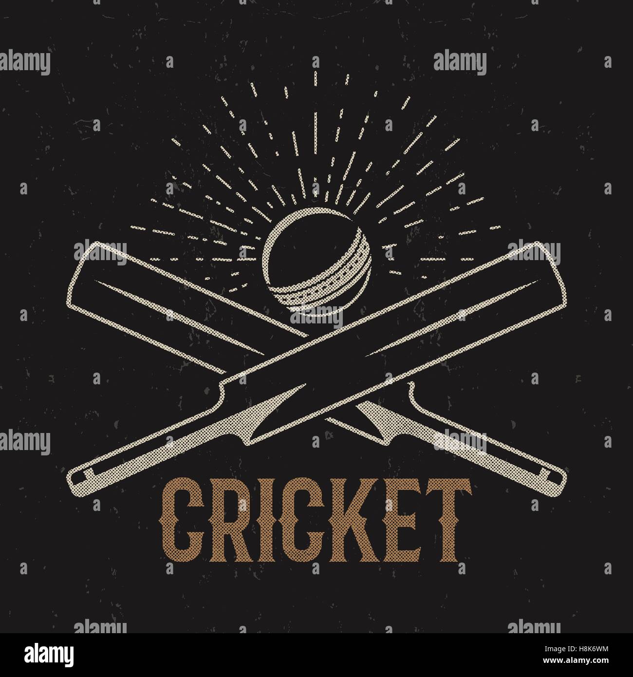Retro cricket club emblem design. Cricket logo icon design. Cricket badge. Sports logo symbols with cricket gear, equipment. Cricket tee design. Tee shirt emblem. T-Shirt prints retro style Stock Vector