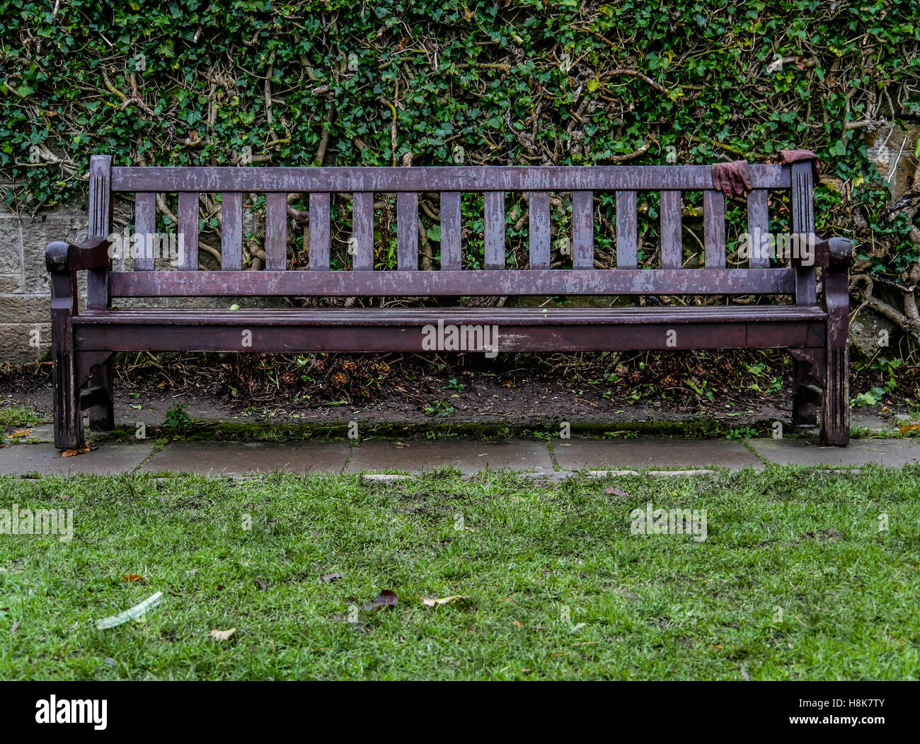 Park bench in Pollok Park, Glasgow Stock Photo