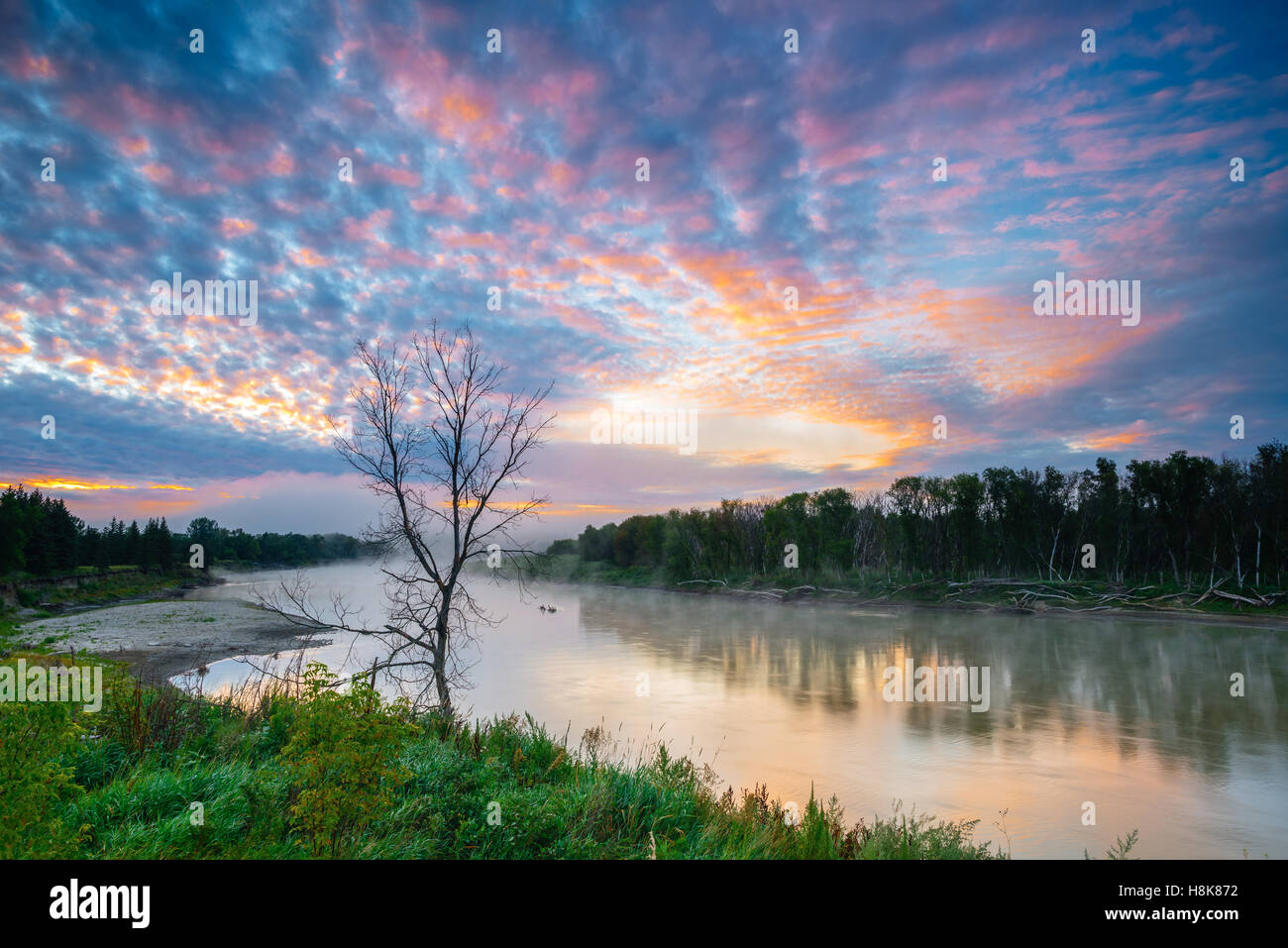 Sunrise over the Assiniboine River in Spruce Woods Provincial Park, Manitoba, Canada Stock Photo