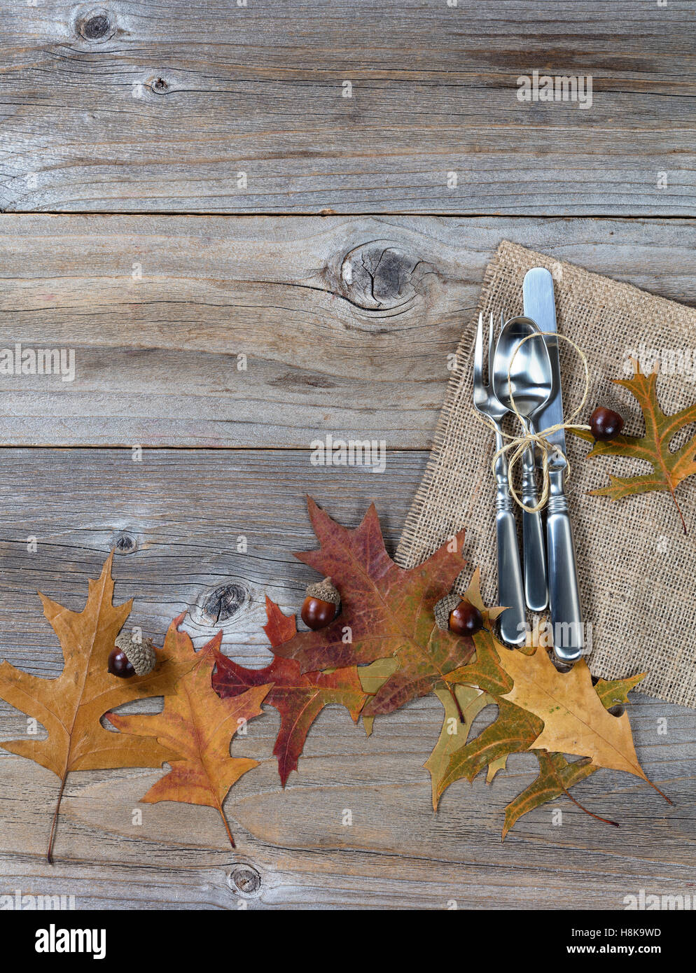 Autumn dinner place setting for Thanksgiving holiday in vertical layout on rustic wooden boards. Stock Photo