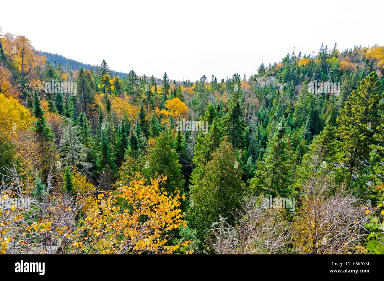 Fall's colorful trees in park near Superior Lake. Ontario, Canada Stock Photo