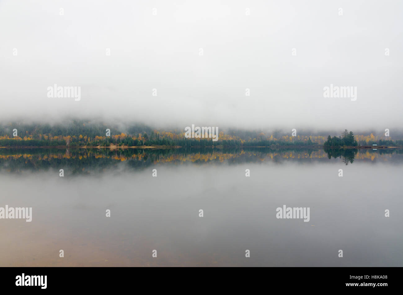 Shore of forest lake in overcast day. Quebec. Canada. Stock Photo