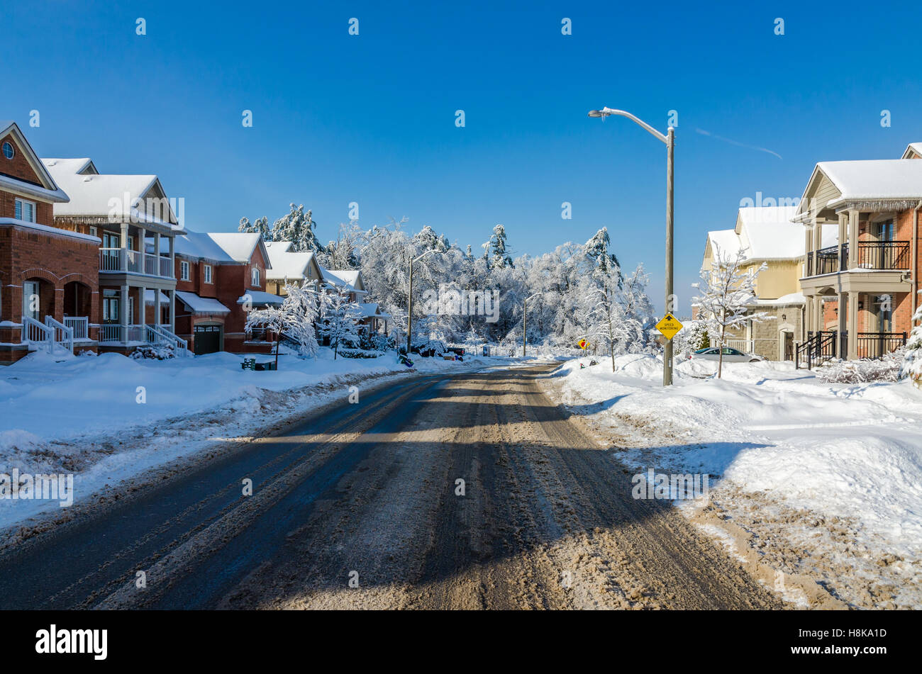 Trees and streets of Canadian town after a freezing rain storm Stock Photo