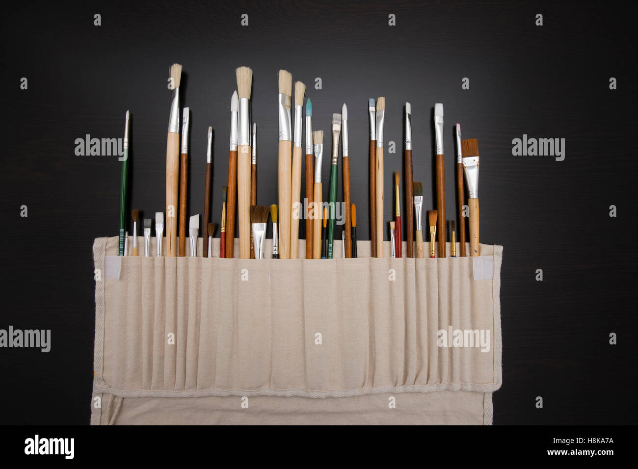 artist paint brush set in soft carry pouch Stock Photo