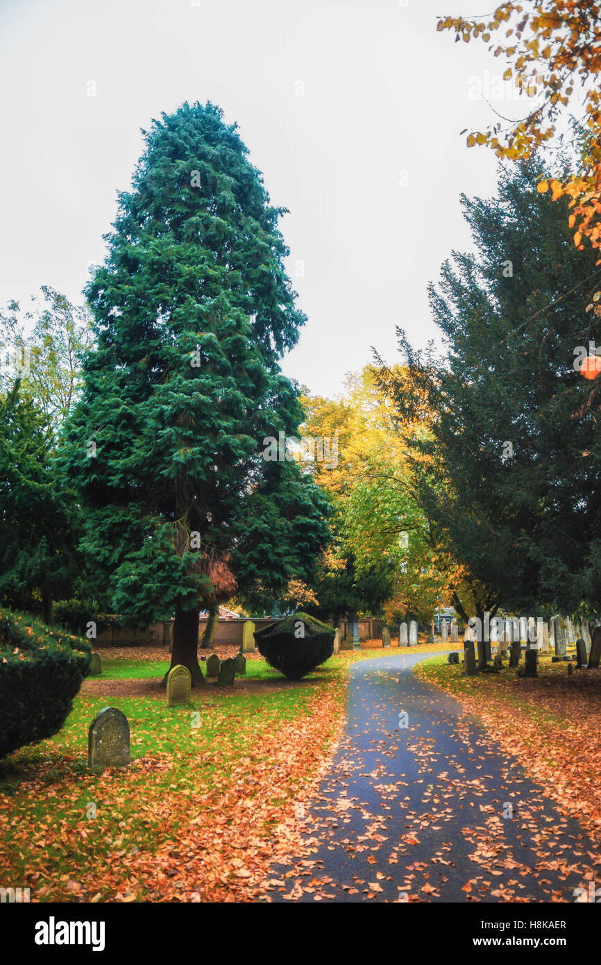 Newark Cemetery, London Road Nottinghamshire UK in Autumn Stock Photo