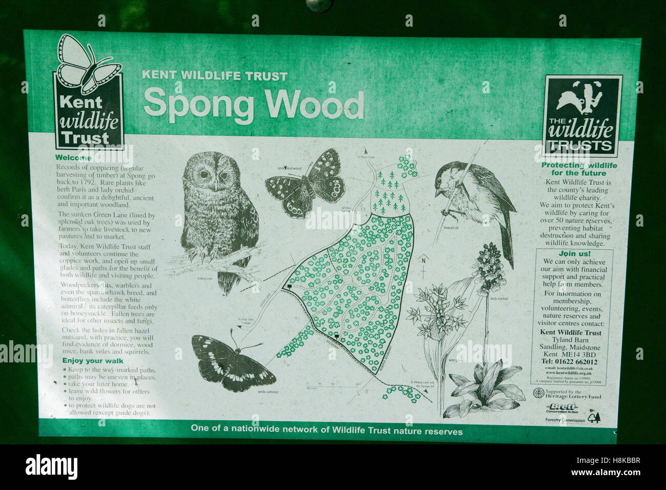 Kent Wildlife Trust Spong Wood sign near Elmstead in South East England showing the diversity of wildlife in this woodland. Stock Photo