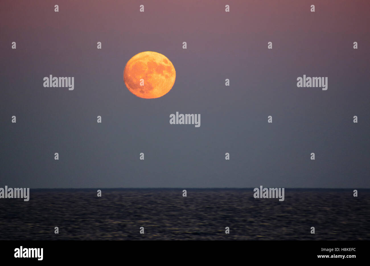 Lake Ontario, Toronto, Canada. 13th Nov, 2016. People watching supermoon rising on beach of Lake Ontario, in Toronto, Canada on November 13 2016. It is said to be the biggest moon in 68 years Credit:  CharlineXia/Alamy Live News Stock Photo