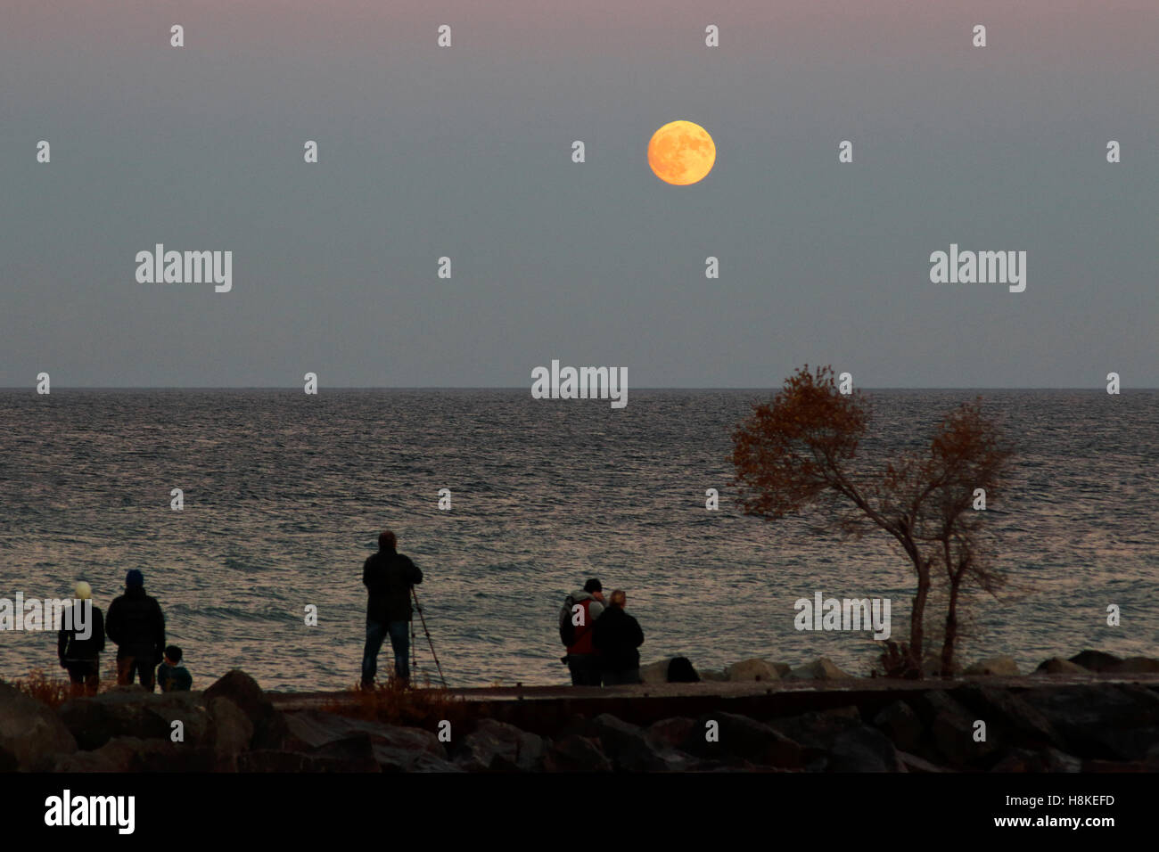 Lake Ontario, Toronto, Canada. 13th Nov, 2016. People watching supermoon rising on beach of Lake Ontario, in Toronto, Canada on November 13 2016. It is said to be the biggest moon in 68 years Credit:  CharlineXia/Alamy Live News Stock Photo