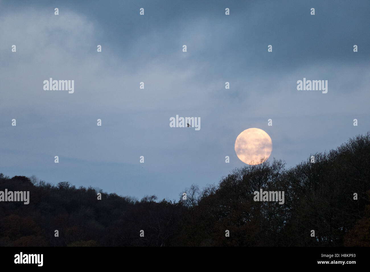 Weather News As The Supermoon Sets This Morning We Finally Get A View Of The Supermoon From Kendal After A Very Wet Couple Of Days Weather News As The Supermoon Sets This Morning We Finally Get A View Of The Supermoon From Kendal After A Very Wet Couple Of Days