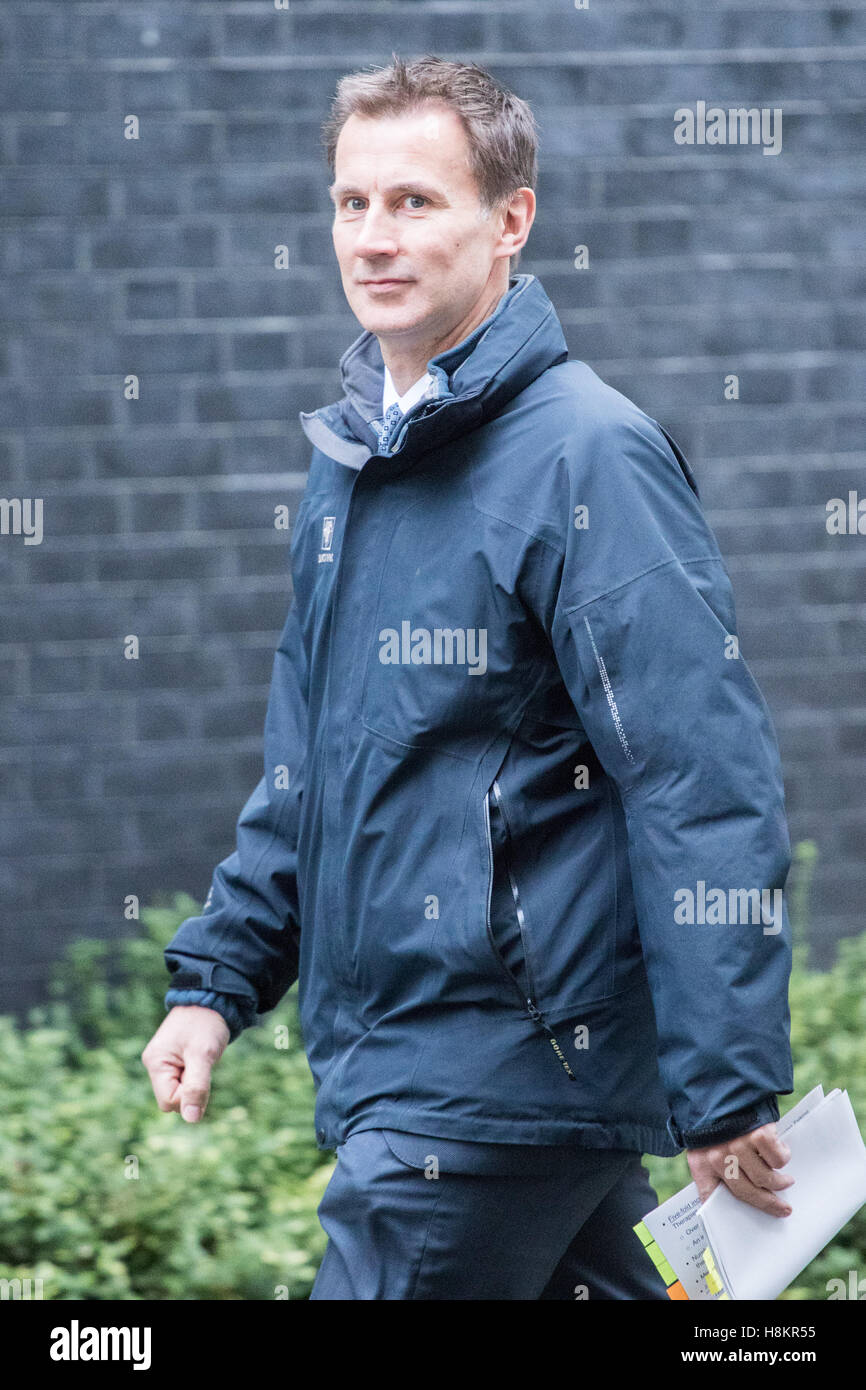London, UK. 15th Nov, 2016. Downing Street, London, November 15th 2016. Health Secretary Jeremy Hunt arrives in Downing Street for the weekly cabinet meeting. © Paul Davey/Alamy Live News Credit: Paul Davey/Alamy Live News Stock Photo